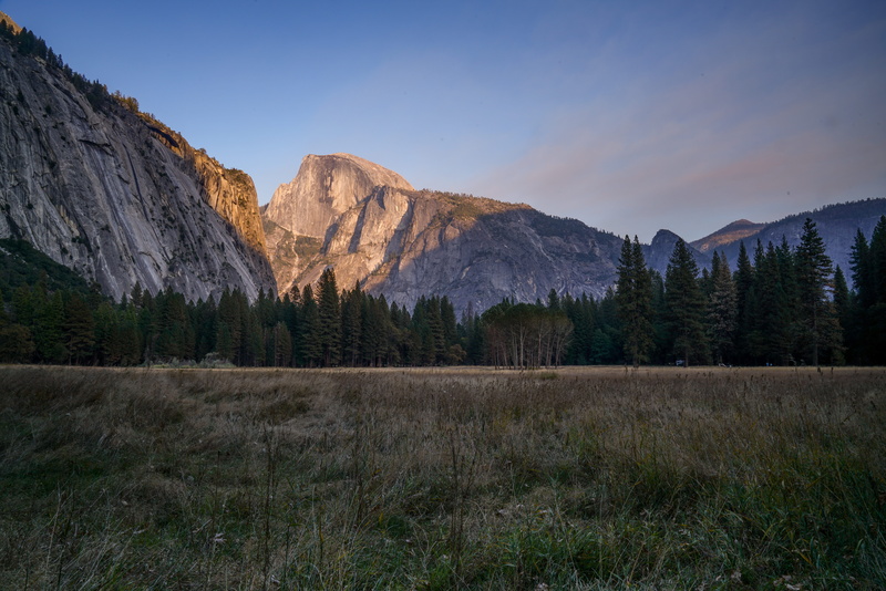environment, solid, grass, land, live, national park, woods, trees, life, nature, landscape, tree, outdoors, mountain peak, great outdoors, united states