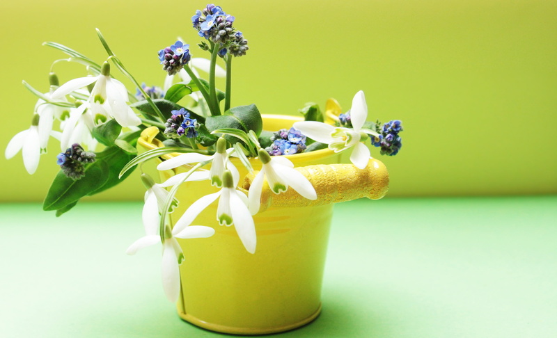 bouquet, yellow, flower arrangement, greeting, birthday, green, greeting card, beauty in nature, glass, spring awakening, still life, flower, tender, beautiful