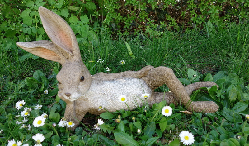 flower, decorative, no people, grass, decoration, frühlingsanfang, easter greeting, freshness, spring awakening, 1080P, plant, hare, vertebrate, color