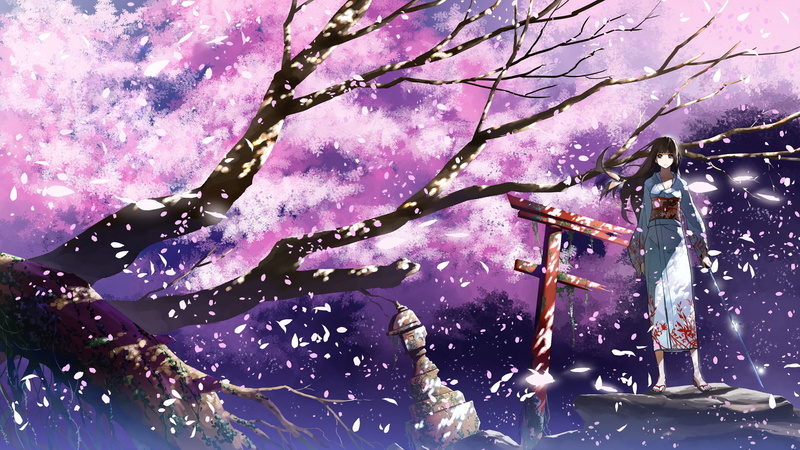 illuminated, outdoors, night, anime, nature, 1080P, spring, freshness, beauty in nature, pink color, no people, purple, tree, motion, plant, cherry blossom