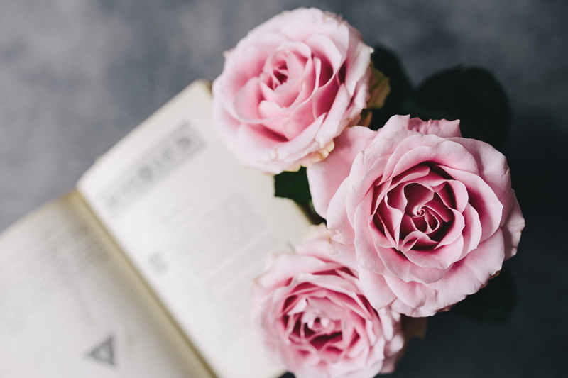 books, freshness, fragility, focus on foreground, plant, wedding, inflorescence, studio shot, interior, pink Color, flower, romance, vulnerability, resting