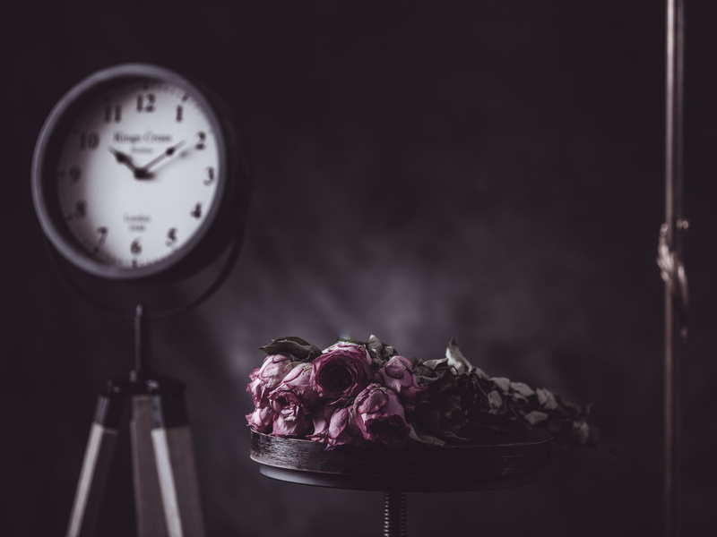 clock, vulnerability, flower, rose - flower, electric lamp, studio shot, close-up, indoors, instrument of time, no people, nature, time, table, flowers