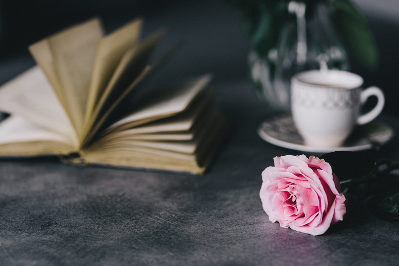 close-up, 4K, lovely, pink roses, resting, nature, roseses, interior, book, cup, still life, essentials, reading, literature, softness, coffee, flowering plant