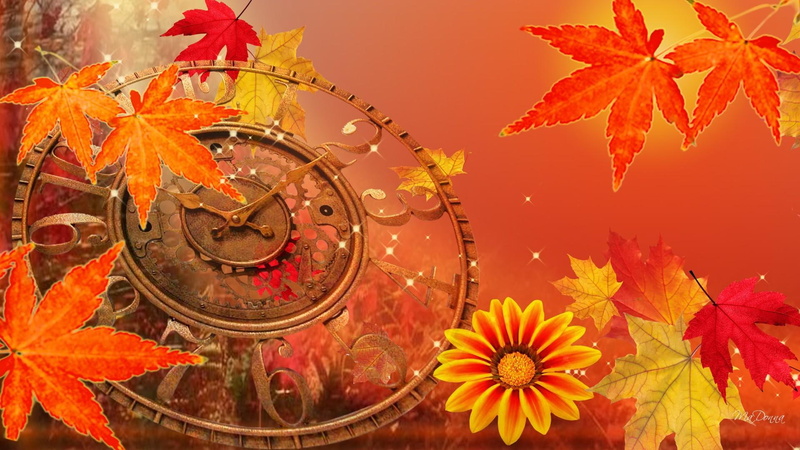 gold, 1080P, maple, flowers, time, clock, falling, yellow, fall, fleurs, bright, orange, daylight savings time, leaves, back
