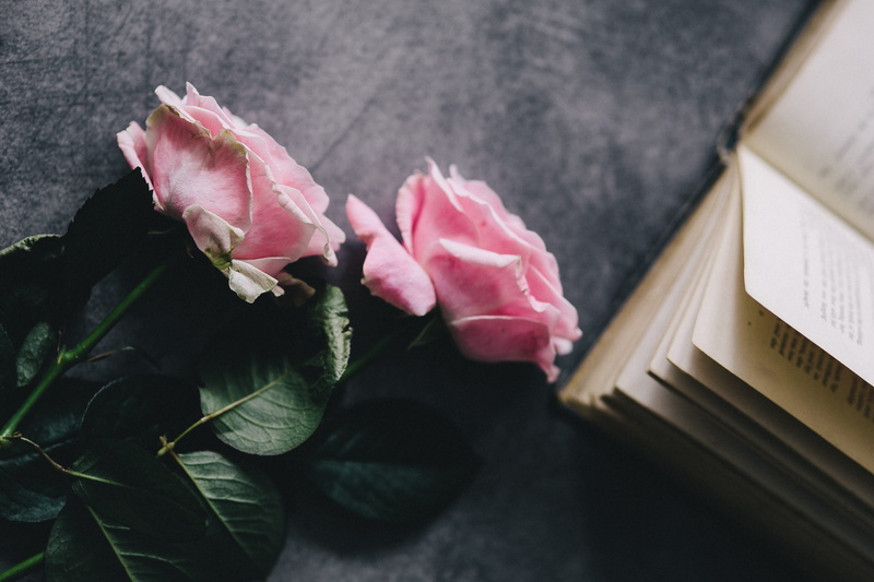 no people, time, freshness, indoors, books, cup of coffee, 4K, rose - Flower, lovely, pink roses, resting, close-up, vulnerability, pink color, bouquet