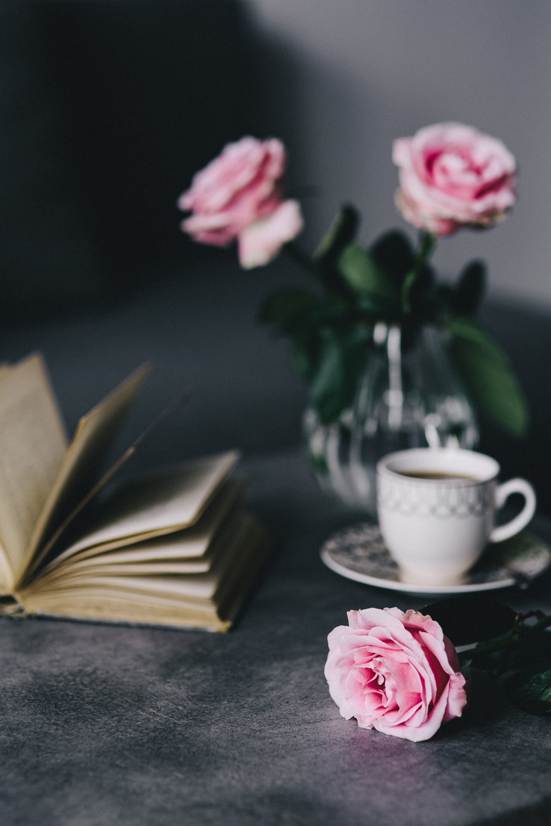 books, fragility, pink roses, pink Color, indoors, petal, resting, 4K, interior, bouquet, still life, time, essentials, table, book, vase, relax, freshness