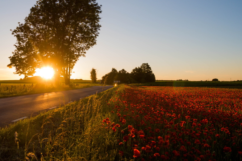 sunrise - Dawn, ƒ / 7, field, outdoors, meadow, agriculture, s18, summer, blue, day, mm, geo:location, season, iso_speed, sunset, exif, non-Urban Scene