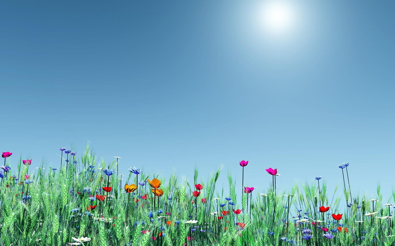 spring, nature, time, 1080P, assorted, flowers, 3d and abstract