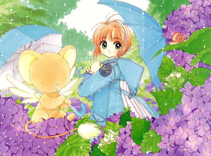 1080P, Sakura Kinomoto, Anime, Snail, Cardcaptor Sakura, Keroberos (Card Captor Sakura)