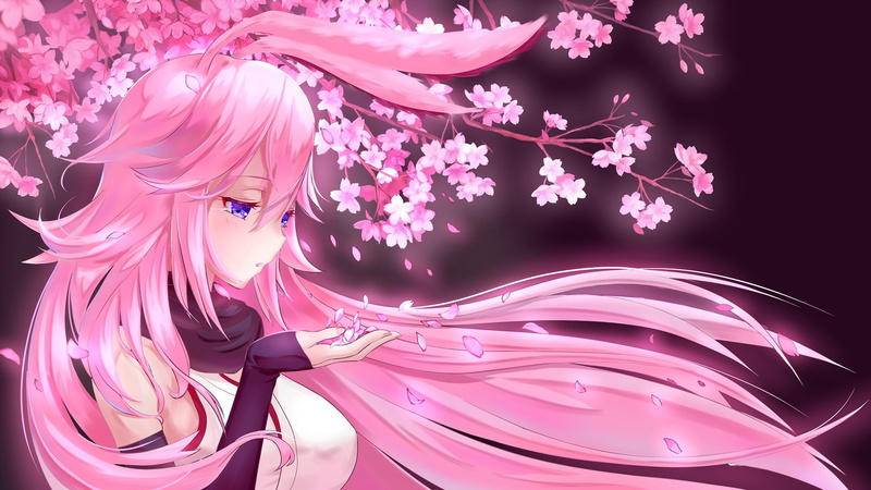 Anime, Benghuai Xueyuan, 1080P, Yae Sakura (Benghuai Xueyuan)