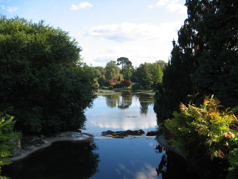 park, trees, 1080P, water, lake, sheffield, 3d and abstract