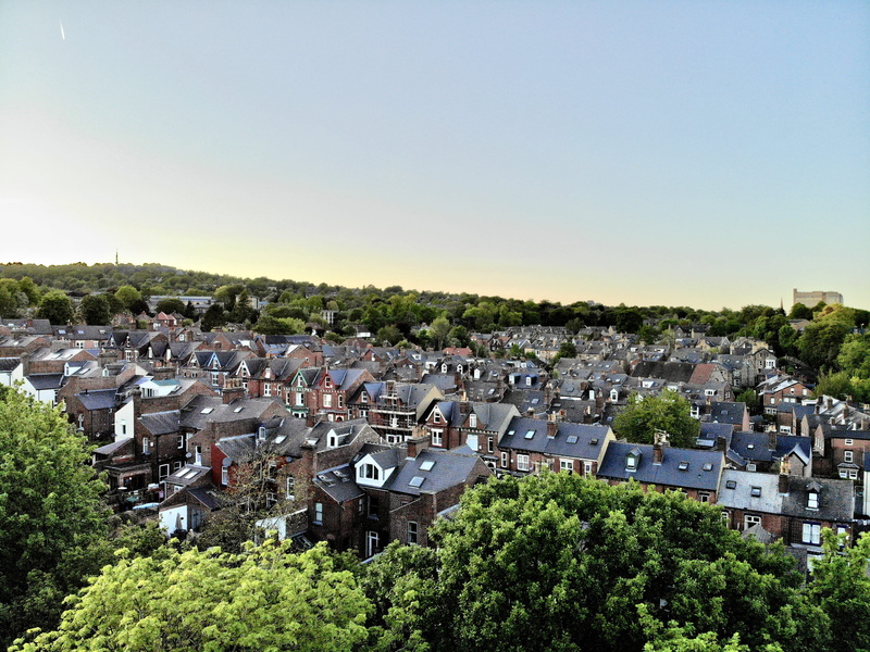 tree, high angle view, south yorkshire, sunset, hallamshire, sheffield, city, townscape, town, beauty, nature, crookes, england, architecture, outdoors