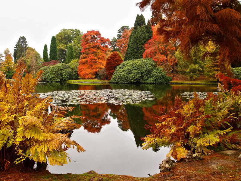 the bushes, autumn collection, 2K, pond, autumn, no people, trees, day, lake, water, change, outdoors, green, sky, Sheffield Park Gar, orange color, brown
