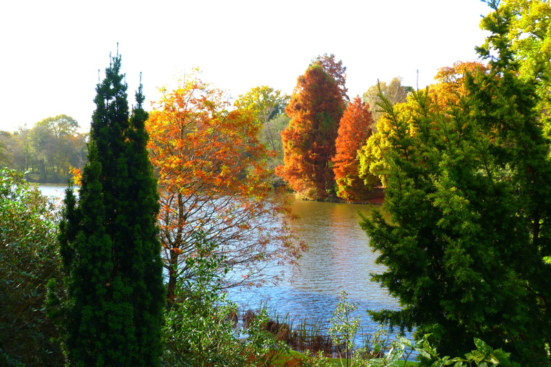 change, non-urban scene, color, 4K, water, lake, scenics - nature, sky, autumn, tranquil scene, nature, landscape, plant, tree, idyllic, sheffield park