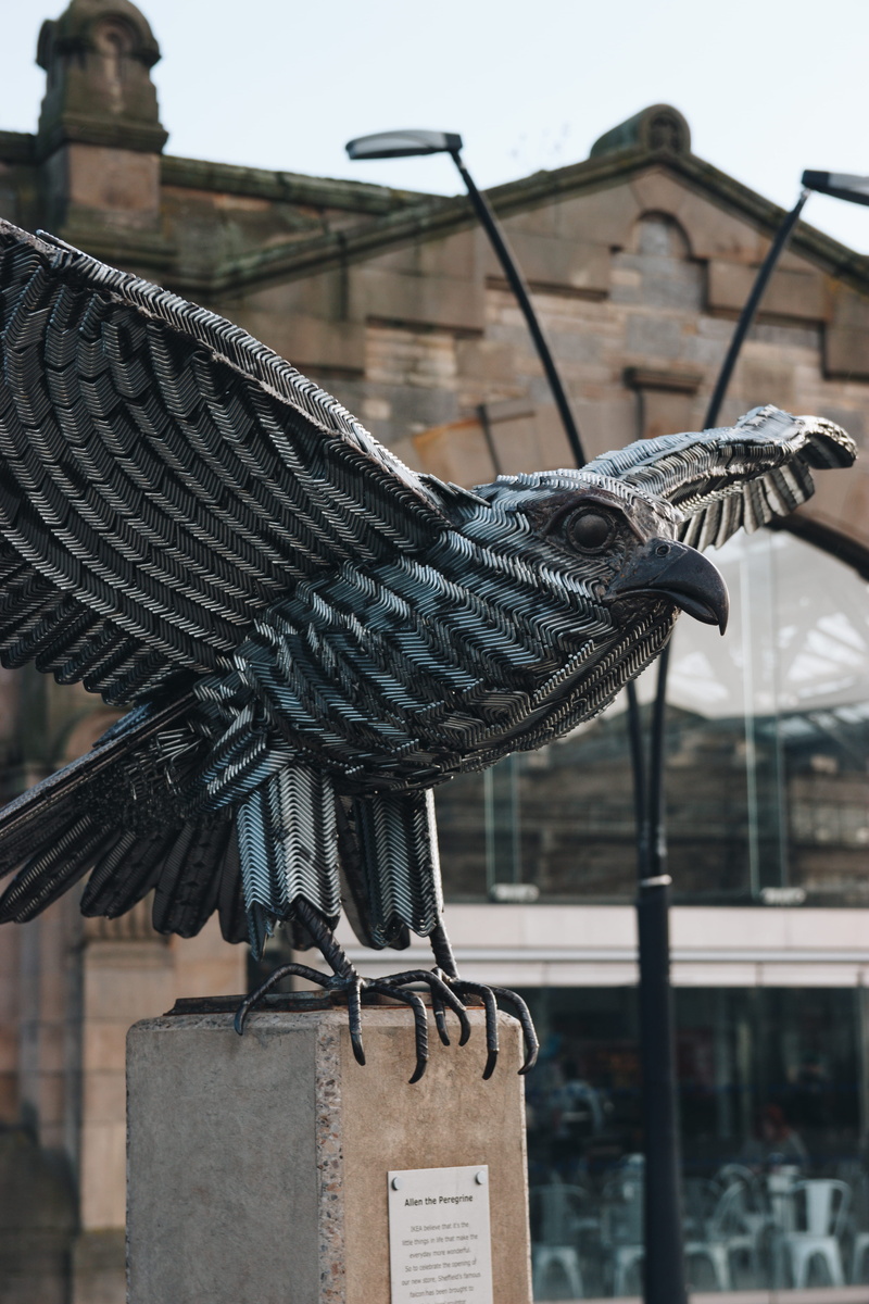architecture, nature, 5K, art and craft, bird, hanging, roof tile, sheffield, united kingdom, focus on foreground, close-up, great, outdoors, britain