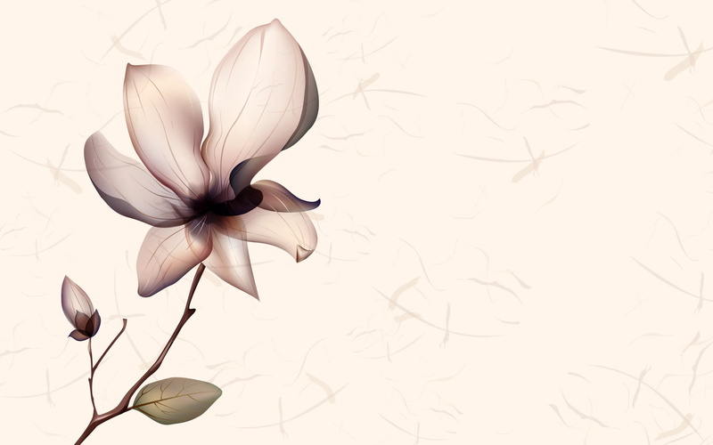 growth, vulnerability, ornate, white background, flower Head, backgrounds, flower, indoors, beauty In Nature, plant part, 1080P, vector, leaf, abstract