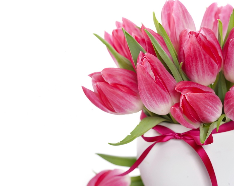 gift, flower arrangement, purple, flowering plant, plant part, vase, copy space, bow, backgrounds, flower buds, white, inflorescence, freshness, green Color
