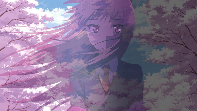 cherry trees, wind, long hair, cherry blossom, 1080P, Shiina Mashiro, Sakurasou no Pet na Kanojo