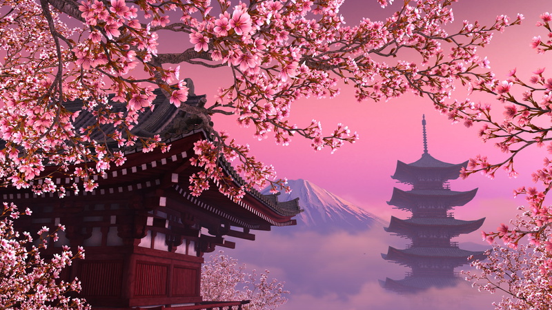 4K, Sakura blossom, Mount Fuji, Japanese