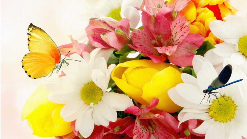 colorful, summer, spring, firefox persona, dragonfly, 1080P, 3d, bright, joyous, tulips, flowers, lilies, butterfly