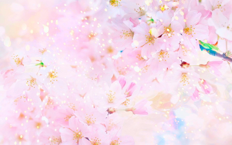 springtime, abstract, food and drink, flowering plant, backgrounds, selective focus, Pink, event, Pastel, celebration, no people, flower, Sunny, beauty in nature