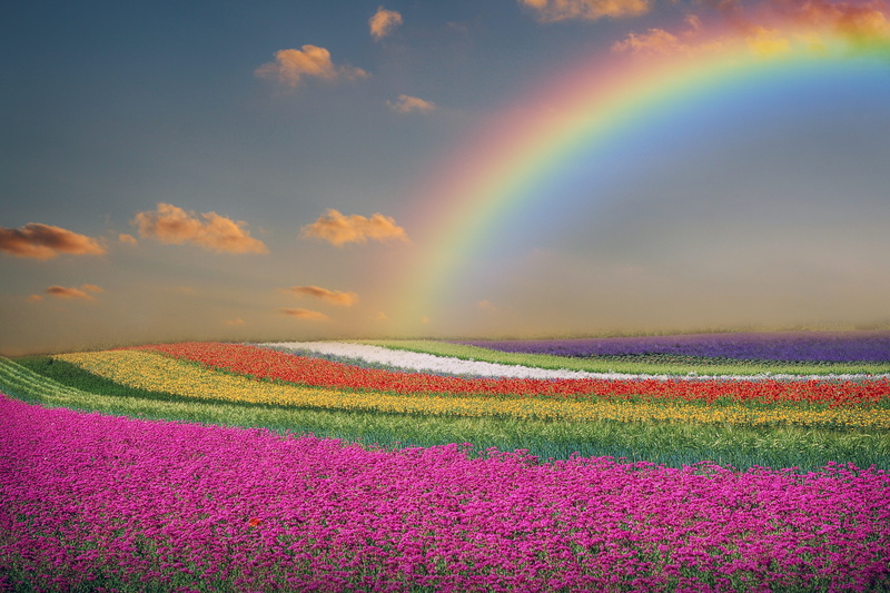 non-urban scene, clouds, outdoors, field, double rainbow, landscape, flowers, scenics - nature, multi colored, beauty in nature, no people, cloud - sky