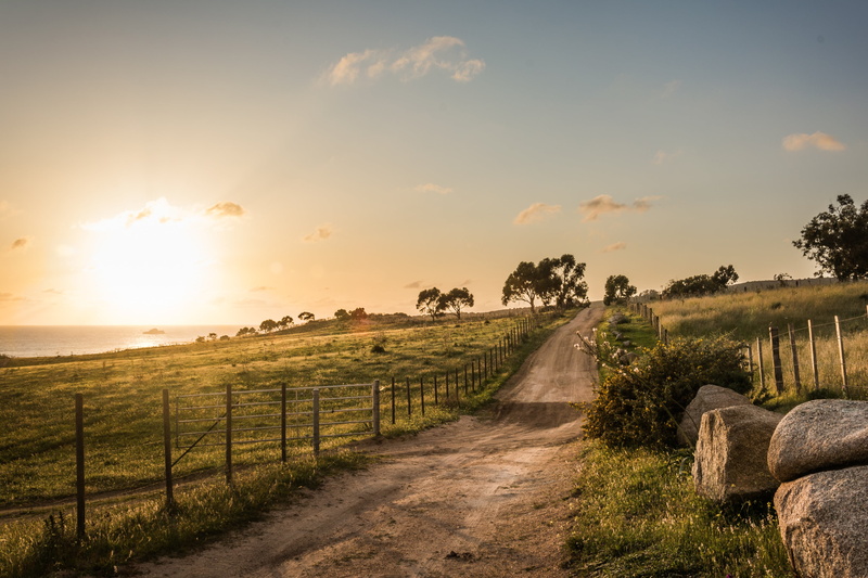 no people, environment, the way forward, road, footpath, land, rock, grass, plant, direction, sky, cloud - sky, barrier, dirt, nature, beauty in nature