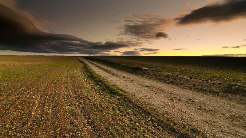 dirt road, landscape, cloud - sky, land, horizon, nature, grass, sunset, no people, sky, road, 1080P, environment, tranquil scene, tranquility, dirt, rural scene