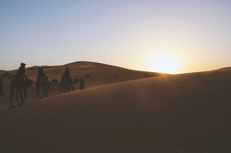 nature, clear sky, outdoors, desert, riding, environment, land, scenics - nature, tranquility, no people, camel Train, sand, domestic animals, sunlight