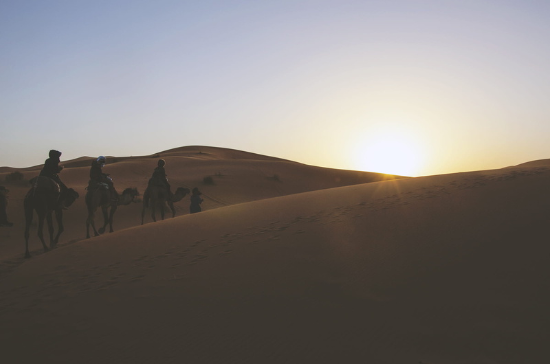 three, environment, non-urban scene, arid climate, sahara Desert, animal, silhouette, nature, africa, passing, climate, sunset, sun, outdoors, person, working animal