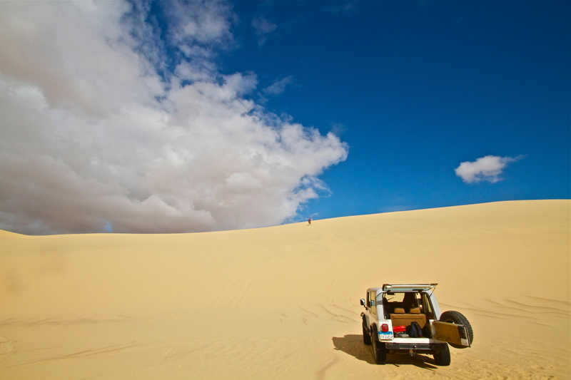 day, 4x4, outdoor, animal, reserve, dune, blue, sports Utility Vehicle, mammal, land Vehicle, wild, cloud - sky, mode of transportation, sahara, travel