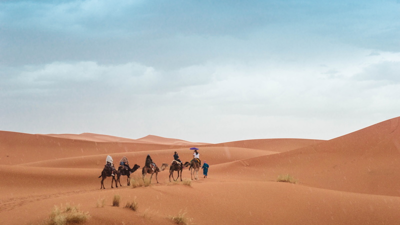 walk, marrakech, sand dune, morocco, animal themes, climate, nature, travel, desert, land, sahara desert morocco, 5K, scenics - nature, outdoors, dry