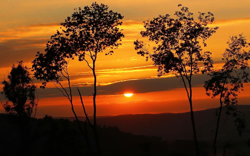 720P, sunrise, silhouette, dawn, sky, hour, life, day, start, golden, abstract, photography, trees, hd