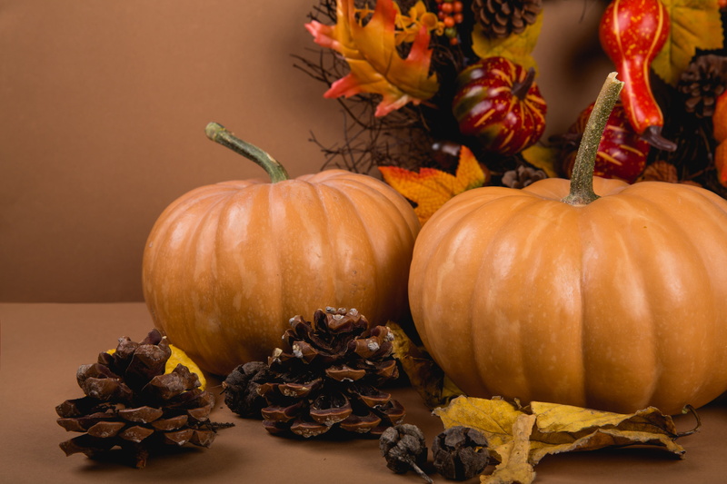 background, gourd, nutrition, indoors, 5K, no people, health, healthy eating, healthy, food and drink, food, fresh, vegetable, fall, decoration, halloween