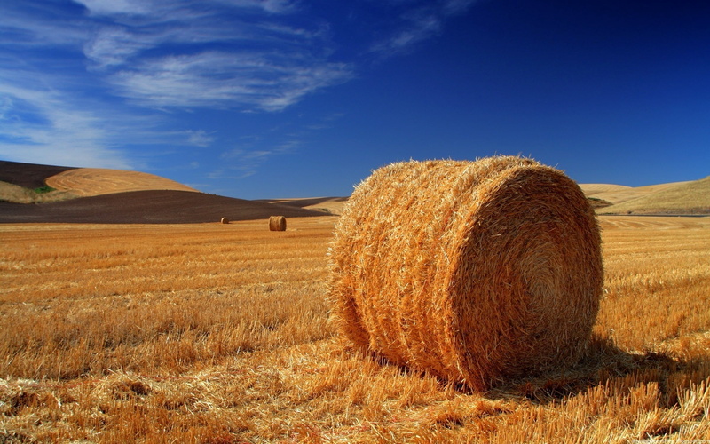 tuscany, grass, scenics, cloud - Sky, green Color, season, farm, summer, no People, hay, autumn, agriculture, horizon Over Land, rolled Up, outdoors, field