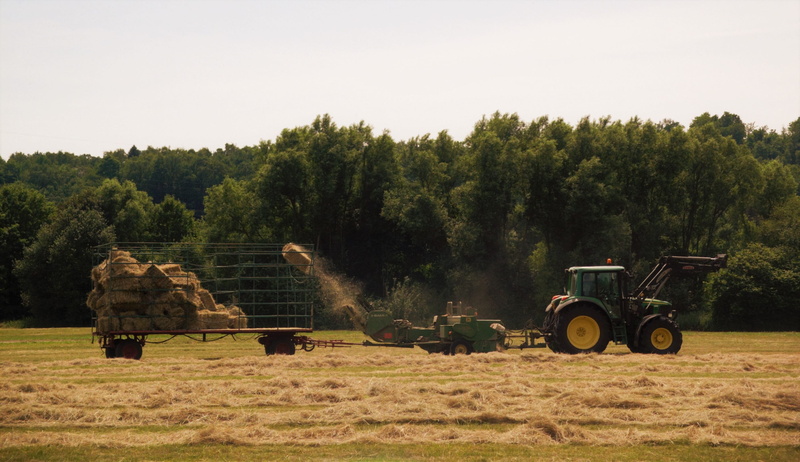 environment, tractor, day, transportation, commercial, rural scene, land, tree, 2K, vehicle, landscape, field, agricultural equipment, Agricultural Machine