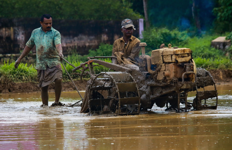 india, asia, agribusiness, real people, cultivating, men, labor, farmer, kerala, countryside, field, standing, two people, life, environment, day, waterfront