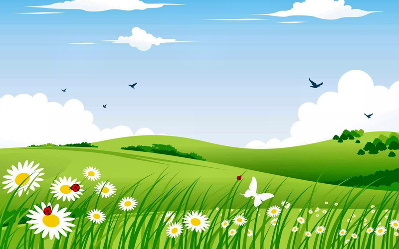 3d and abstract, nature, flowers, 1080P, meadow