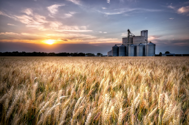 1080P, Wheat, Sumner  County, agriculture, rural Scene, Train Tracks, sky, farm, sunset, summer, nature, field