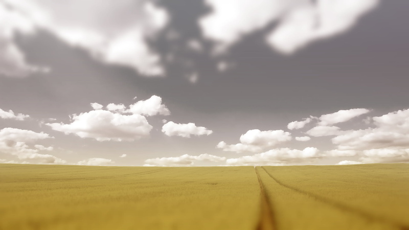 rural scene, horizon over land, field, plant, yellow, tranquil scene, sky, no people, horizon, land, environment, outdoors, 1080P, farm, beauty in nature