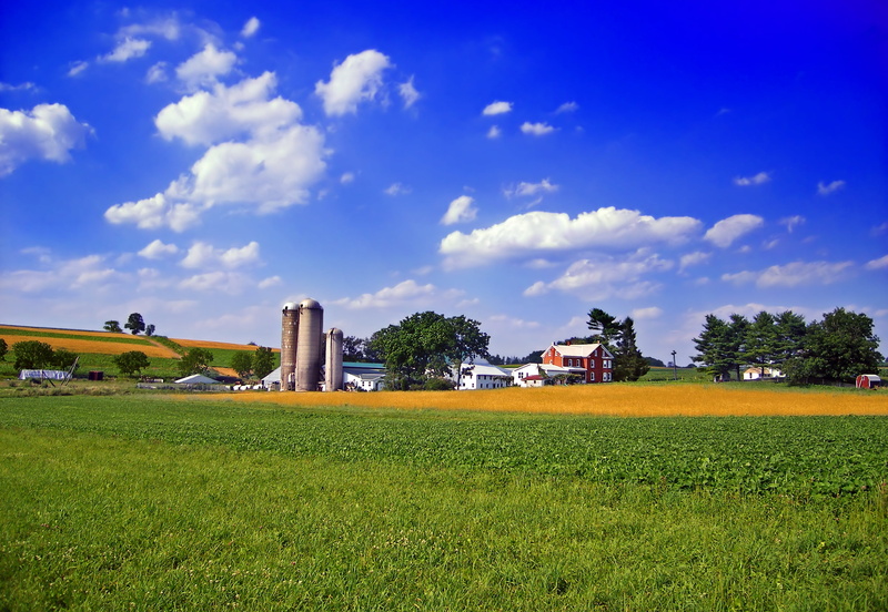 Cultivated, bright light, nature, field, agriculture, farm, cumulus, rural, europe, sky, Berks County, field  farm, far, summer, Maxatawny Township, rural Scene