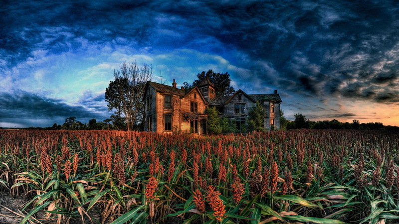 house, 2K, blue sky, animals, edgewood, edgewood farm, red fields, farm