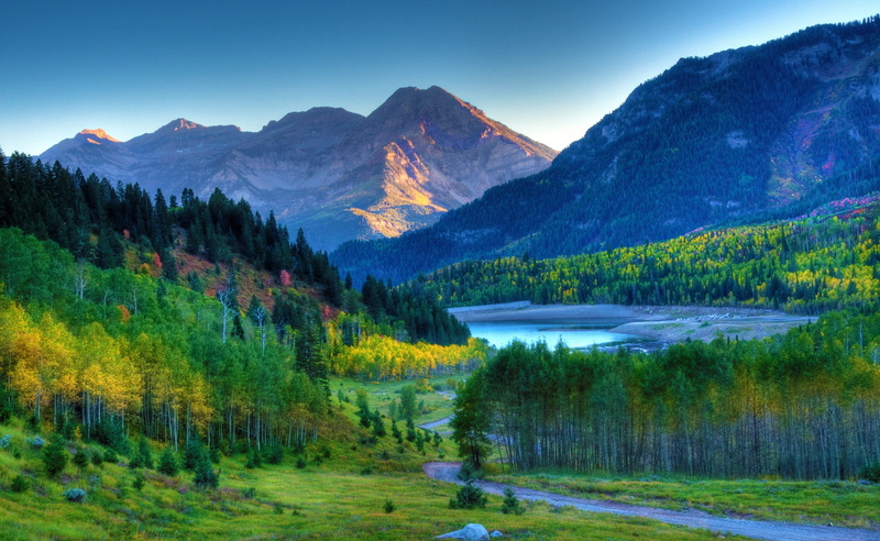 beauty in nature, mountain, United States, forest, plant, mountain range, land, mountain peak, Mount, Sunset, non-urban scene, pine tree, tree, environment
