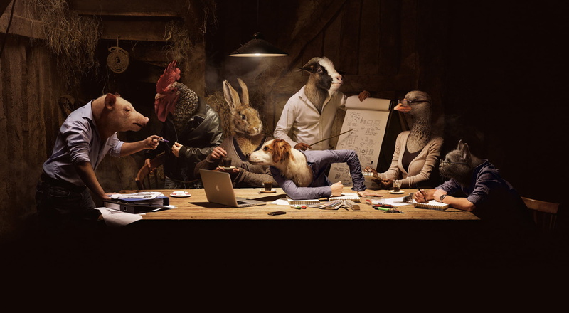rabbit, working, ape, goose, night, people, communication, males, women, graphics, business person, friendship, indoors, dog, 1080P, business, females