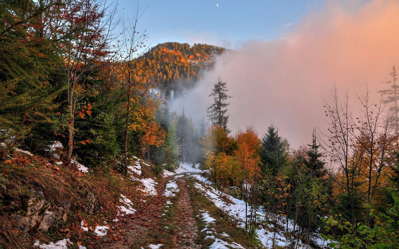 2K, Footpath, Mountain, Forest, Dawn, Snow, Fog, Trees, Autumn