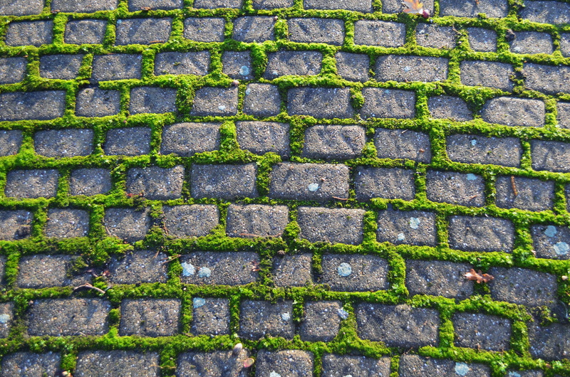 wall, no people, day, Pavement, pattern, cobblestone, street, concrete, Stone, paving stone, Moss, repetition, 4K, stone material, close-up, backgrounds