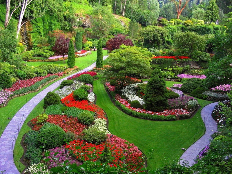 ornamental Garden, park - Man Made Space, red, gardening, park, no People, springtime, day, outdoors, garden path, tree, leaf, well-groomed, trees, scenics