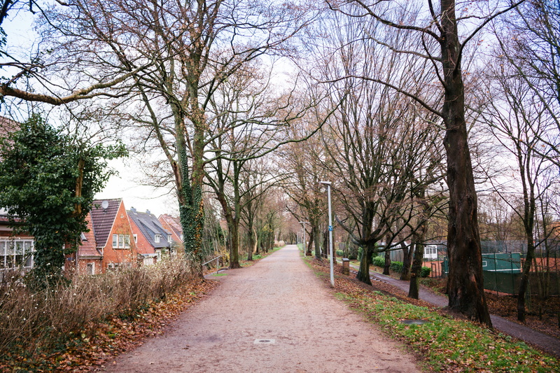 house, walkway, urban, street, town, change, sky, day, bare tree, emden, empty, branch, 5K, outdoors, asphalt, tree, building, germany, no people, land