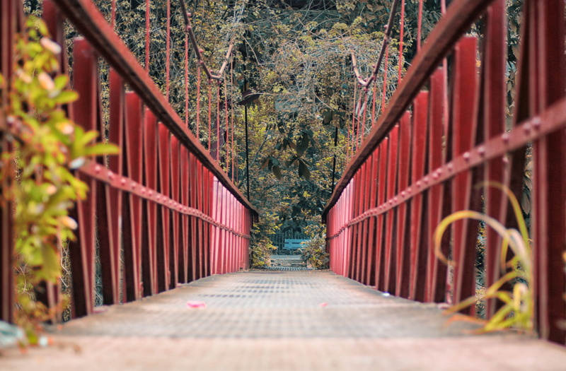 connection, tree, Garden, metal, bridge - man made structure, footpath, long, direction, selective focus, outdoors, Bogor, day, railing, footbridge, built structure