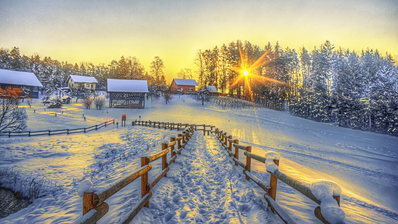 house, 4K, winter, glade, morning, village, fence, sky, tree, snow trail, snowy, snow, landscape, sunlight, footpath, forest, nature, light, sun